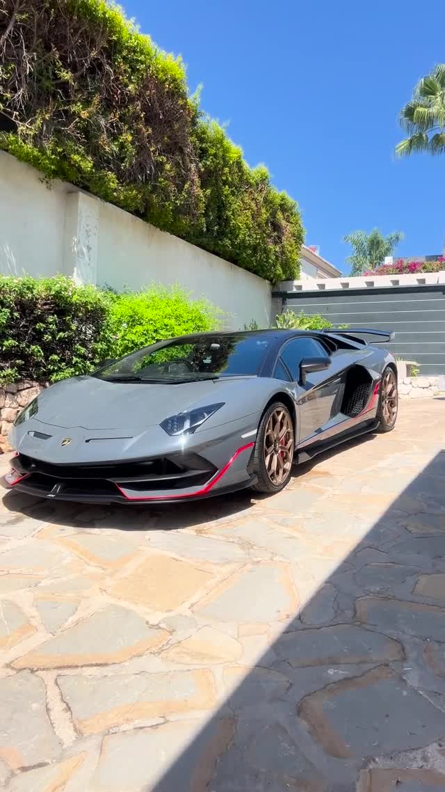 Lamborghini — In the sunlight